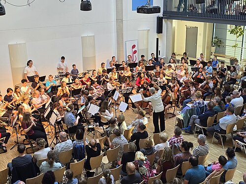 Ein großes Orchester spielt vor Publikum.