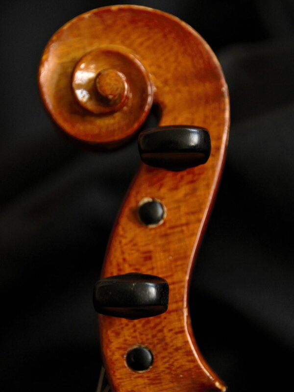 Der Kopf mit der Schnecke der Violine ist zu sehen.