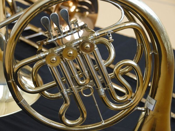 Es ist ein Aussschnitt eines Horns zu sehen.